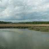 Harris Neck National Wildlife Refuge