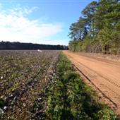 Kevin Deal Rd.