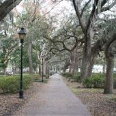 Forsyth Park - FOUNTAIN HAS BEEN REMOVED FOR REPAIRS