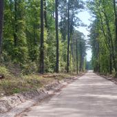 Keller Rd. near GA 30 and the Effingham County Line