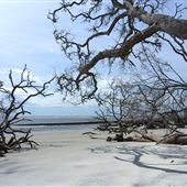 Little Tybee Island - Accessible by Boat Only