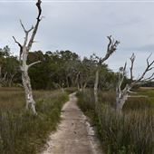 Skidaway Island State Park - River and Marsh