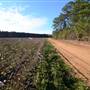 Kevin Deal Rd.