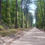 Keller Rd. near GA 30 and the Effingham County Line