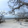 Little Tybee Island - Accessible by Boat Only