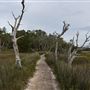 Skidaway Island State Park - River and Marsh