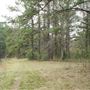 Myrtle Grove Various Wooded Looks