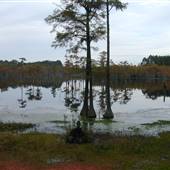 Magnolia Springs State Park