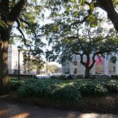 Telfair Square