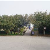 Tybee - 6th St. Beach Access