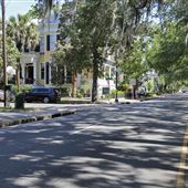 Whitaker St along Forsyth Park