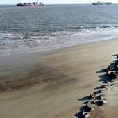 North Beach Tide Survey shot 2021