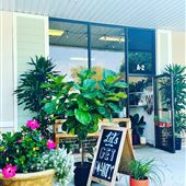 Planted in Savannah