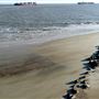North Beach Tide Survey shot 2021
