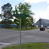 Town of Nevils, GA