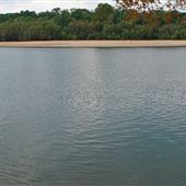 Big Hammock Wildlife Management Area