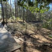 SKIO Bog Trail Area
