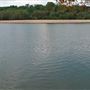 Big Hammock Wildlife Management Area