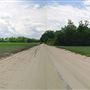 Tobacco Rd.