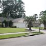 Nelson Drive