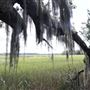 Sapelo Island Visitors Center Nature Trail