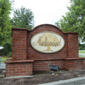 Ashwood