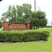 Mallard Pointe