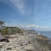 Boneyard Beach Jekyll Island