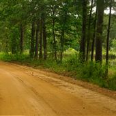 Dink Station Rd.