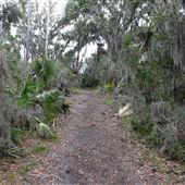Skidaway Island State Park - River and Marsh
