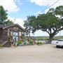 Shellman Bluff Fish Camp