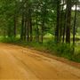 Dink Station Rd.