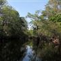 Ebenezer Creek - Summer