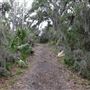 Skidaway Island State Park - River and Marsh