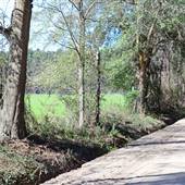 R.P. Miller Rd