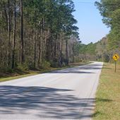 Clyo Kildaire Rd. near Old Augusta Rd.