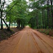 Reedy Branch Rd.