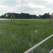 Thunderbolt  Boat Ramp