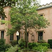Green Meldrim House