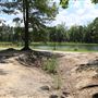 Tom Triplett County Park