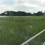Thunderbolt  Boat Ramp