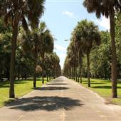 Tiedemann Park