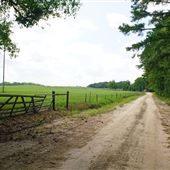 Bella Terra Rd. at Bell Rd.