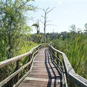 Cay Creek Wetlands Interpretive Center