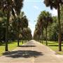 Tiedemann Park