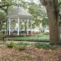 Whitefield Square
