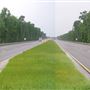 GA Hwy 17 at Ogeechee River