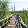 Cay Creek Wetlands Interpretive Center