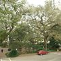 Johnson Square