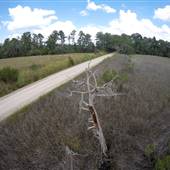 Cay Creek Rd.